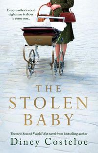 Cover image for The Stolen Baby