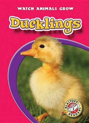 Cover image for Ducklings