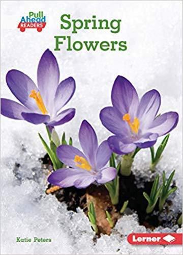 Cover image for Spring Flowers