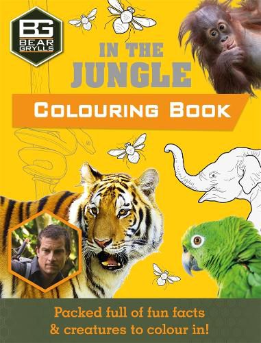 Cover image for Bear Grylls Colouring Books: In the Jungle