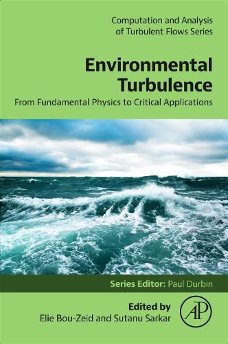 Cover image for Environmental Turbulence