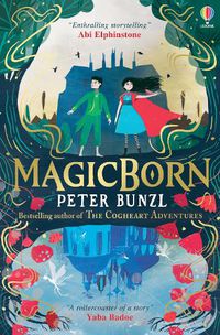 Cover image for Magicborn