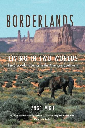 Cover image for Borderlands