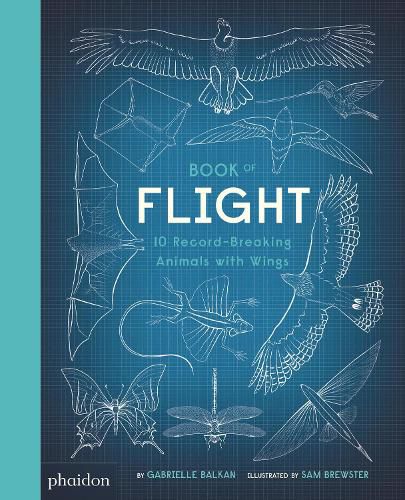 Cover image for Book of Flight: 10 Record-Breaking Animals with Wings