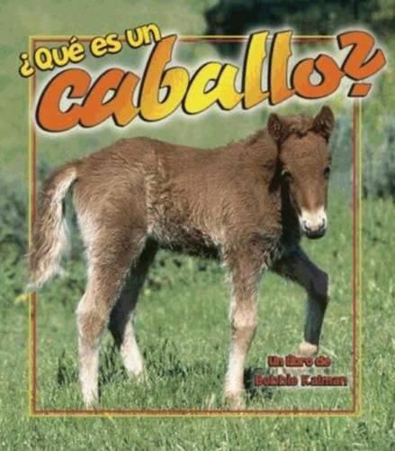 Cover image for Que es un Caballo?