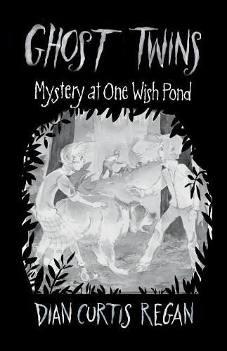 Cover image for Ghost Twins: Mystery of One Wish Pond