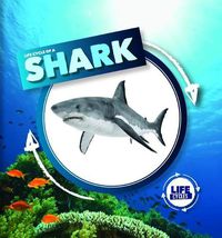 Cover image for Life Cycle of a Shark