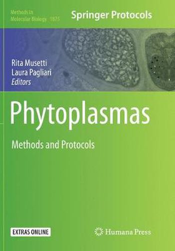 Cover image for Phytoplasmas: Methods and Protocols