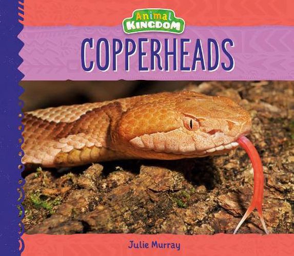 Cover image for Copperheads