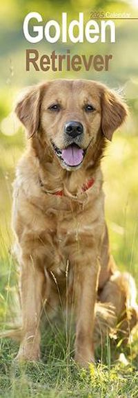 Cover image for Golden Retriever Slim Calendar 2025 Dog Breed Slimline Calendar - 12 Month