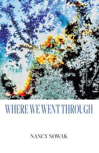 Cover image for Where We Went Through