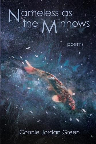 Cover image for Nameless as the Minnows