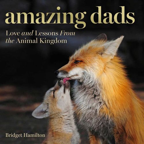 Cover image for Amazing Dads