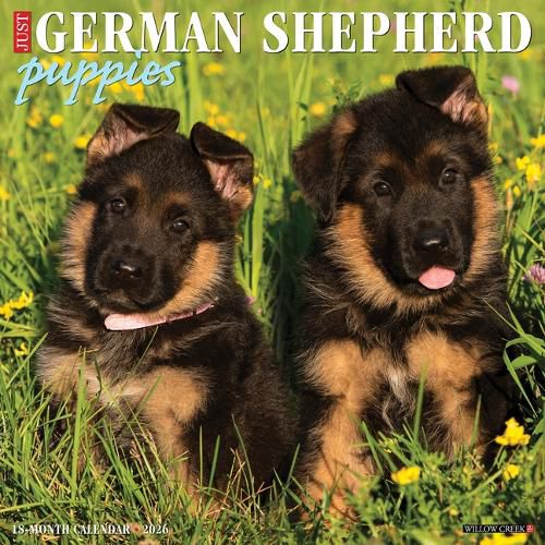 Cover image for German Shepherd Puppies 2026 12 X 12 Wall Calendar