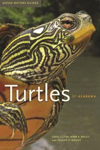 Cover image for Turtles of Alabama