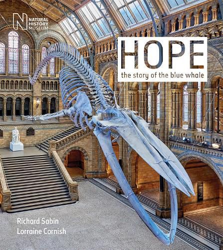 Hope: The story of the blue whale