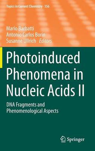 Photoinduced Phenomena in Nucleic Acids II: DNA Fragments and Phenomenological Aspects