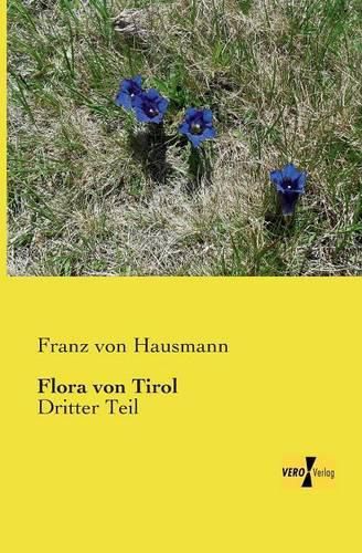 Cover image for Flora von Tirol: Dritter Teil