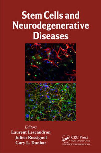 Cover image for Stem Cells and Neurodegenerative Diseases