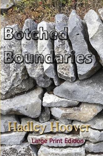 Cover image for Botched Boundaries (LP)