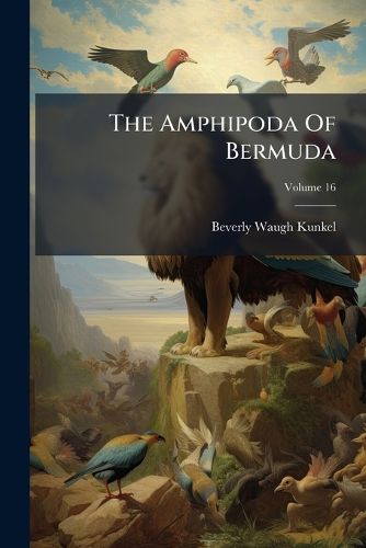 Cover image for The Amphipoda Of Bermuda