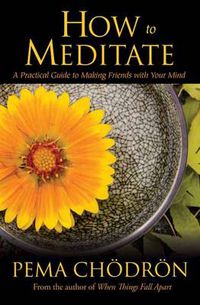Cover image for How to Meditate: A Practical Guide to Making Friends with Your Mind
