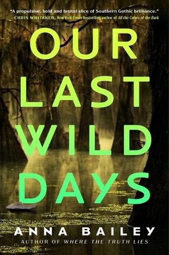 Cover image for Our Last Wild Days