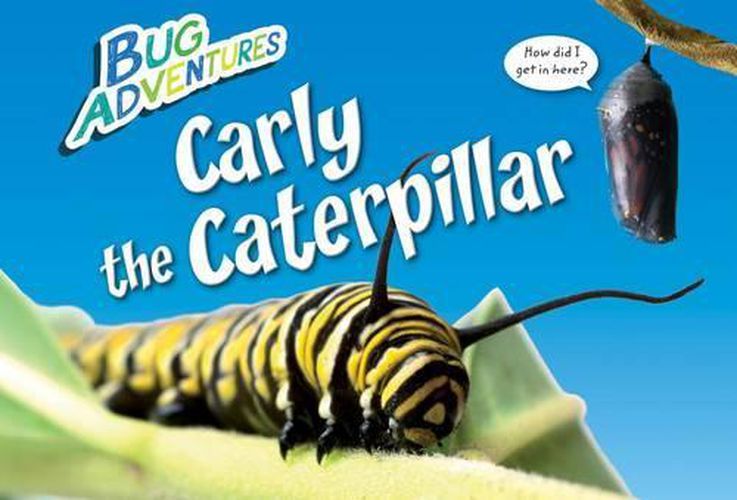 Carly the Caterpillar