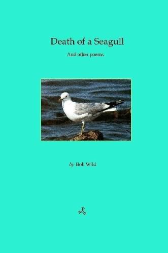 Cover image for Death of a Seagull