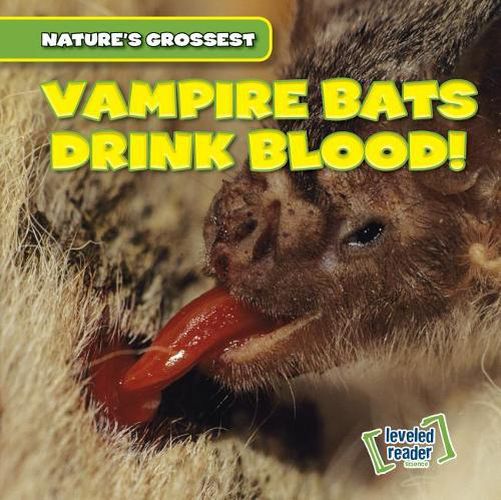 Cover image for Vampire Bats Drink Blood!