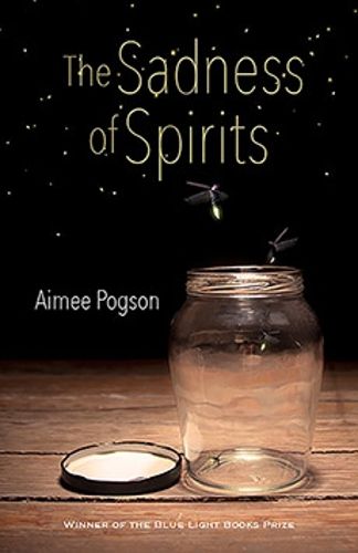 Cover image for The Sadness of Spirits: Stories