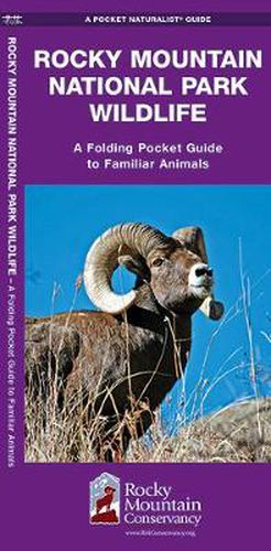 Cover image for Rocky Mountain National Park Wildlife: A Folding Pocket Guide to Familiar Animals