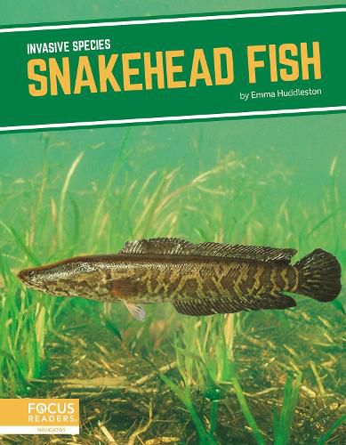 Invasive Species: Snakehead Fish