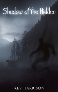 Cover image for Shadow of the Hidden