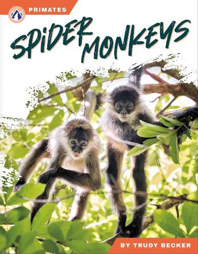 Cover image for Spider Monkeys