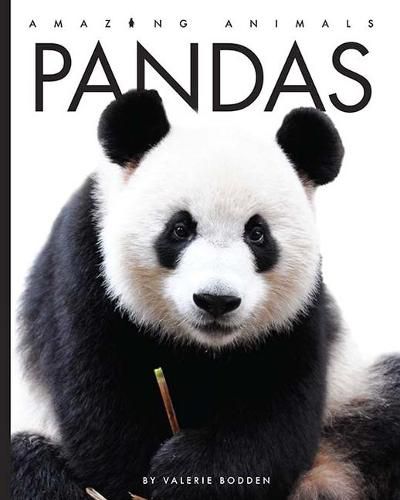 Cover image for Pandas