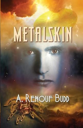 Cover image for Metalskin