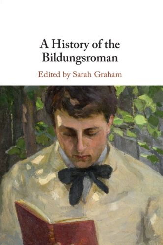 Cover image for A History of the Bildungsroman