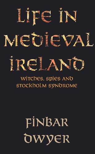 Cover image for Life in Medieval Ireland