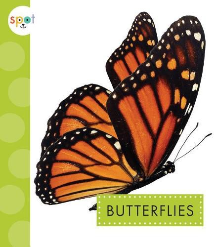 Cover image for Butterflies