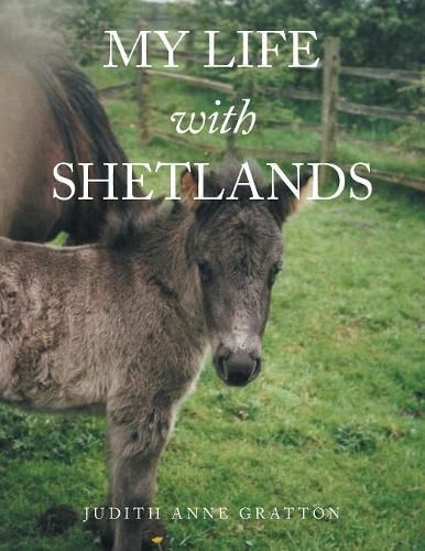 Cover image for My Life with Shetlands