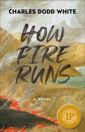 Cover image for How Fire Runs: A Novel