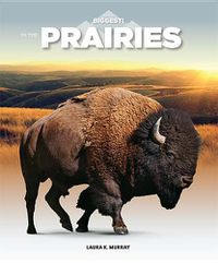 Cover image for In the Prairies