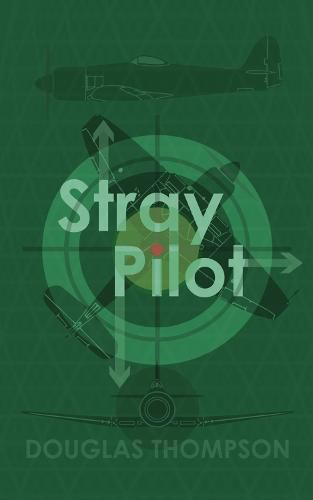 Cover image for Stray Pilot