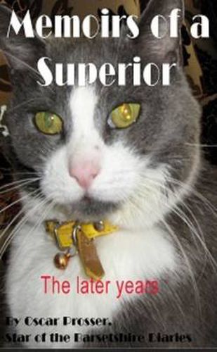 Cover image for Memoirs of A Superior