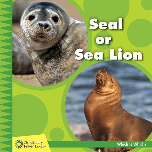 Cover image for Seal or Sea Lion