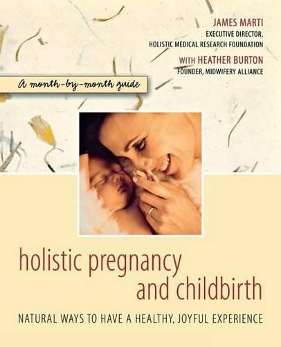Cover image for Holistic Pregnancy and Childbirth