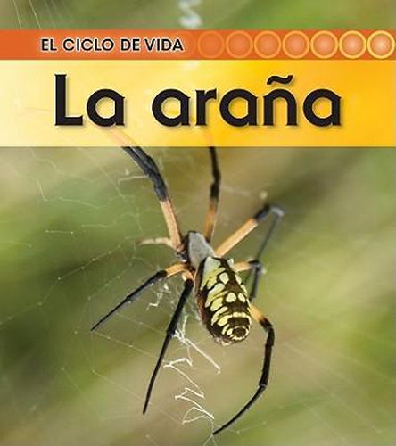 Cover image for La Arana