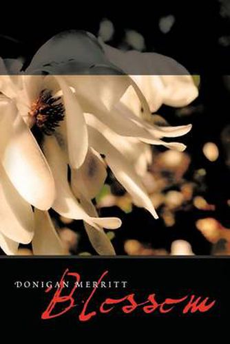 Cover image for Blossom