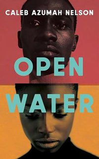 Cover image for Open Water